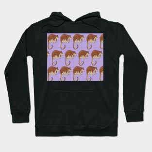 Amazing Tree Kangaroo Hoodie